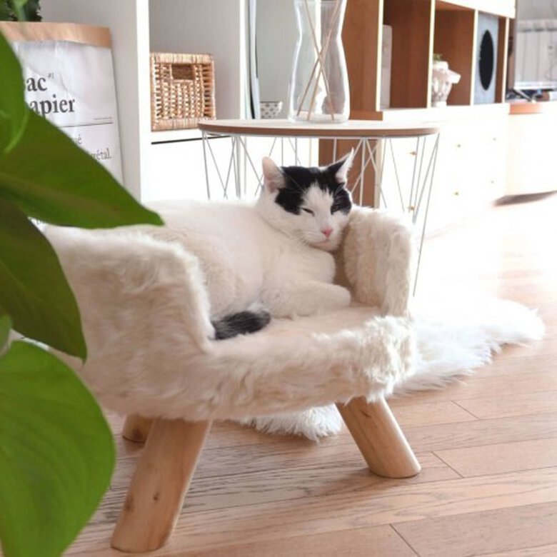 Cama afelpada District70 Nordic para gatos color Merengue, , large image number null