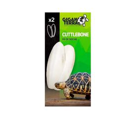 Hueso de Jibia Tortugas Giganterra