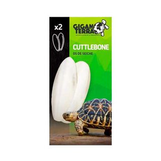 Hueso de Jibia Tortugas Giganterra