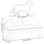Cama Para Perro, , large indicador imagen numero 6