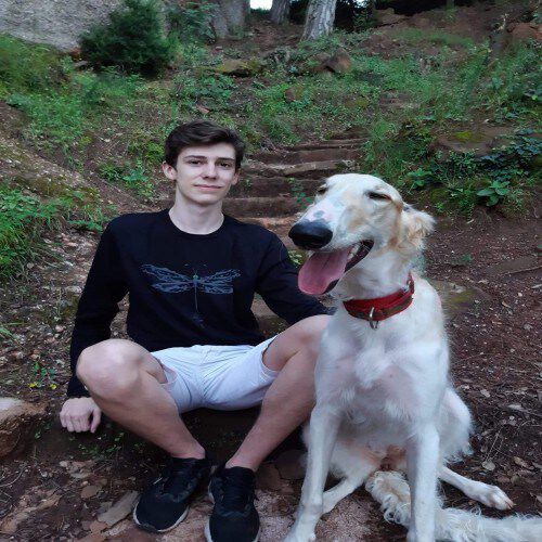 Camiseta unisex libélula color Negro thumbnail