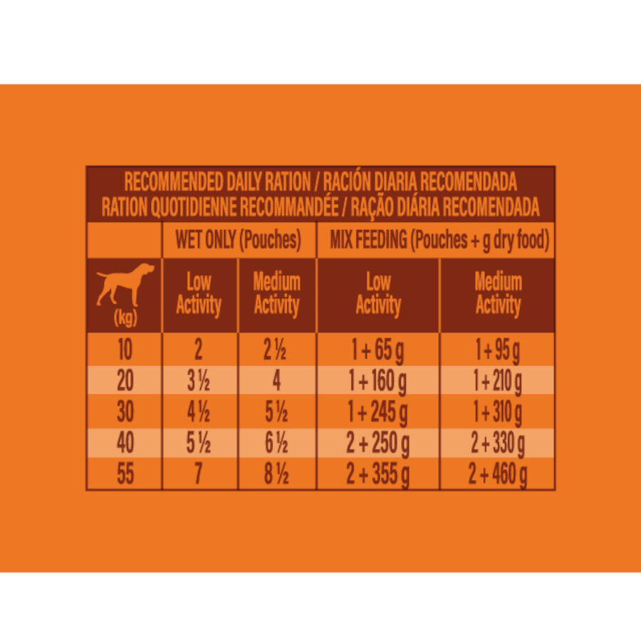 300 g Nature's Variety Original Medium/Maxi Adult Variety pollo sobre para perros, , large Imagen numero 4