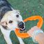 Juguete interactivo para perros Toss-N-Tug Tubo BIONIC, , large indicador imagen numero 3