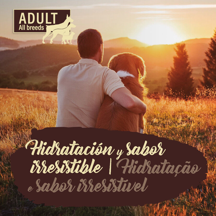 True Origins Pure Pavo con Zanahorias sobre para Perros, , large Imagen numero 4