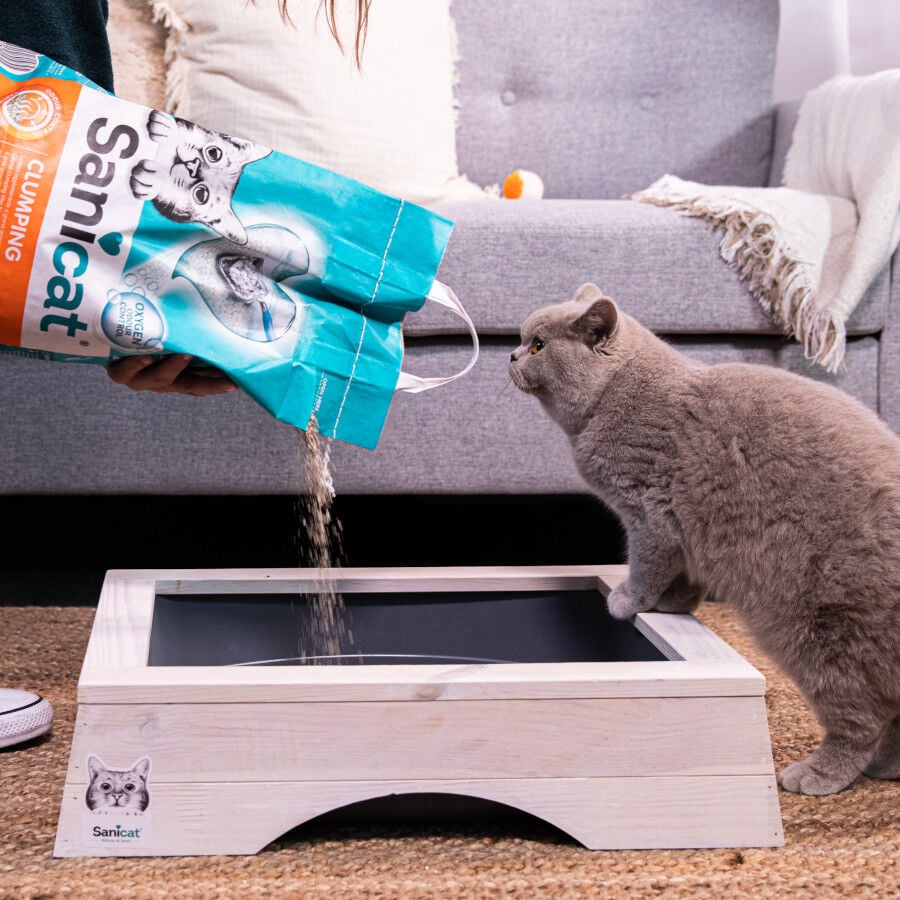 Sanicat Arena Aglomerante Vainilla y Mandarina thumbnail