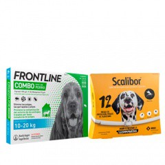 erección de esterilizador para perros erección de esterilizador para perros