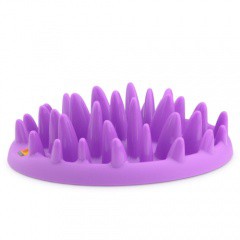 Comedero antivoracidad para gatos Northmate Catch