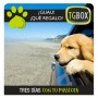 Tres días con tu mascota TGBOX