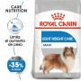 Royal Canin Light Weight Care pienso seco para perro adulto grande