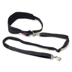 Cinturón con correa para perros color Negro
