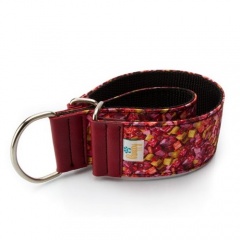 Collar Pamppy Galgo Speedy Sugus para perros