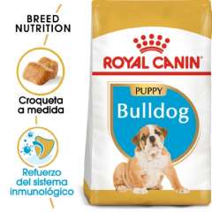Royal Canin Bulldog Puppy pienso seco para cachorros