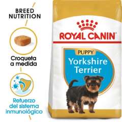 Royal Canin Yorkshire Terrier Puppy pienso seco para cachorros