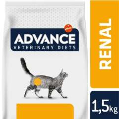 Advance Renal Failure Feline