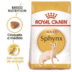Royal Canin Sphynx pienso para gato adulto