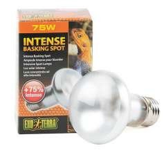 Exo Terra Lámpara de Luz solar Intense Basking Spot