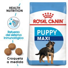 Royal Canin Maxi Puppy pienso para cachorro