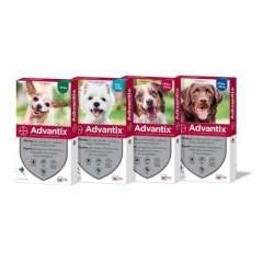 Advantix Pipetas triple protección antiparasitaria para perros