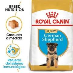 Royal Canin Pastor Alemán Puppy pienso seco para cachorro