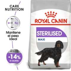 Royal Canin MAXI Sterilised
