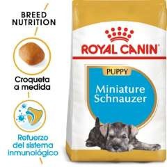 Royal Canin Miniature Schnauzer Puppy pienso seco para cachorros