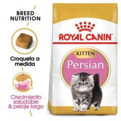 Royal Canin Kitten Persian pienso para gatito