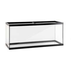 Acuario Akkua Basic de cristal negro para peces