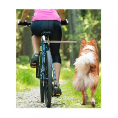 Adaptador para pasear con mi perro en bicicleta Walkydog