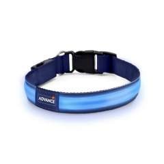 ADVANCE DOG COLLAR LED REGALO