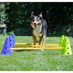 Kit de agilidad y coordinación para perros