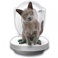 Kit de aprendizaje WC para gatos Litter Kwitter