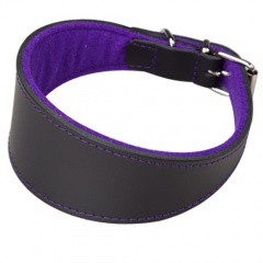 Collar para galgos con forro Superfelt negro y morado