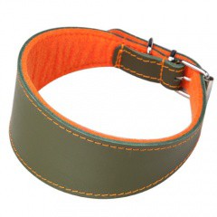Collar para galgos con forro Superfelt verde y naranja