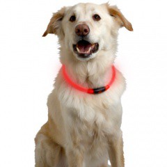 Collar LED para perros NiteHowl de plástico