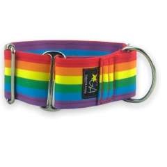 Galguita amelie martingale rainbow collar multicolor para perros