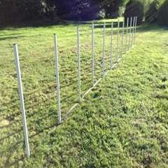 Galican slalom de entrenamiento para perros