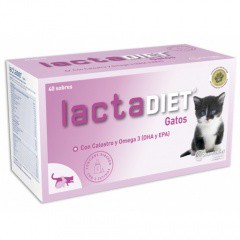 Lactadiet leche maternizada con Calostro y Omega 3 gatitos