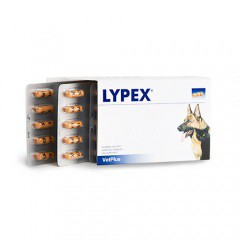 Lypex complemento con enzimas pancreática para perros y gatos