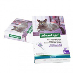 Pipeta antipulgas para gatos Advantage