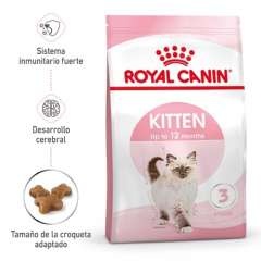 Royal Canin Kitten pienso para gatitos