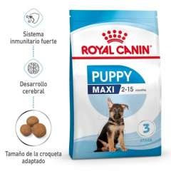 Royal Canin Maxi Puppy pienso para cachorro