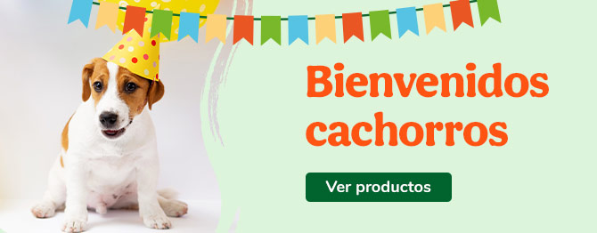 Bienvenidos perritos