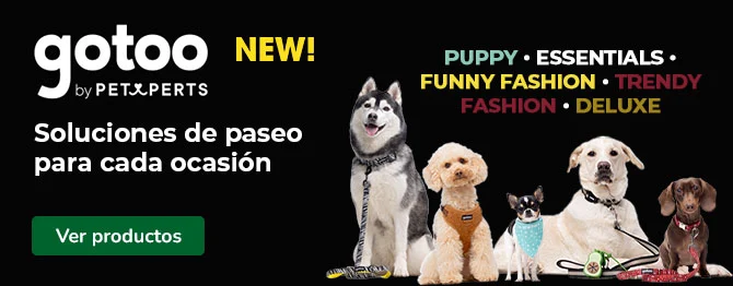 Gotoo: Soluciones para cada paseo