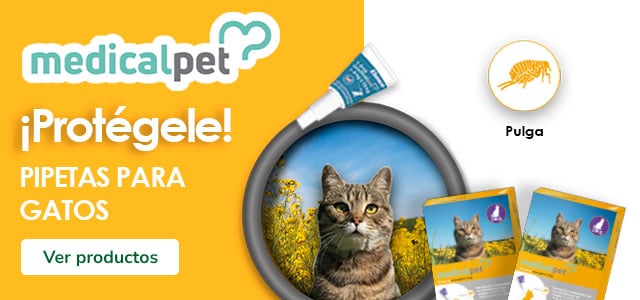 Medicalpet: Pipetas antiparasitarias para gatos.