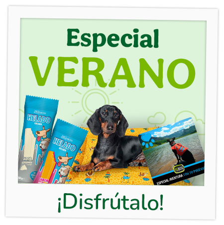 Especial verano