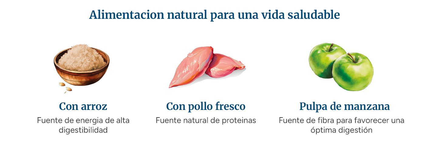 Alimentación con ingredientes naturales