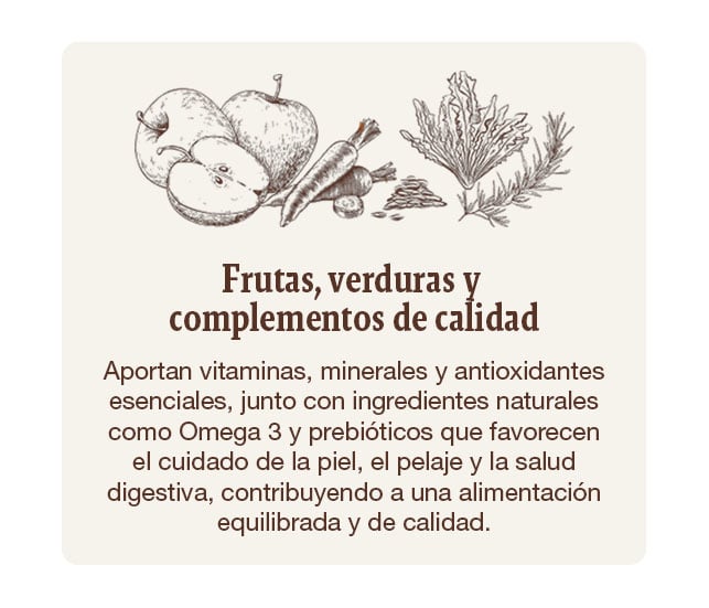 Alimentación elaborada con carne y pescados frescos garantizando una fuente rica y natural de proteínas