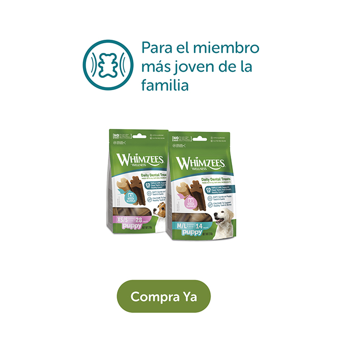 Whimzees - descubre los snacks para cachorros