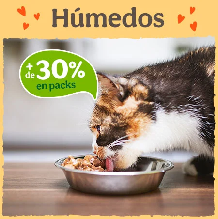 +30% dto en packs de comida húmeda para gatos.