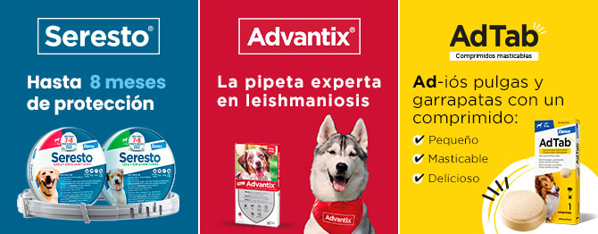 Adtab, Seresto y Advantix para perros: soluciones antiparasitarias de última generación para la protección de tu mascota.